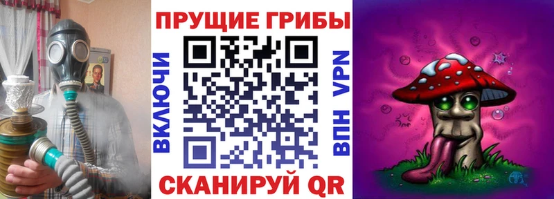 Галлюциногенные грибы мицелий  маркетплейс клад  Губкин 