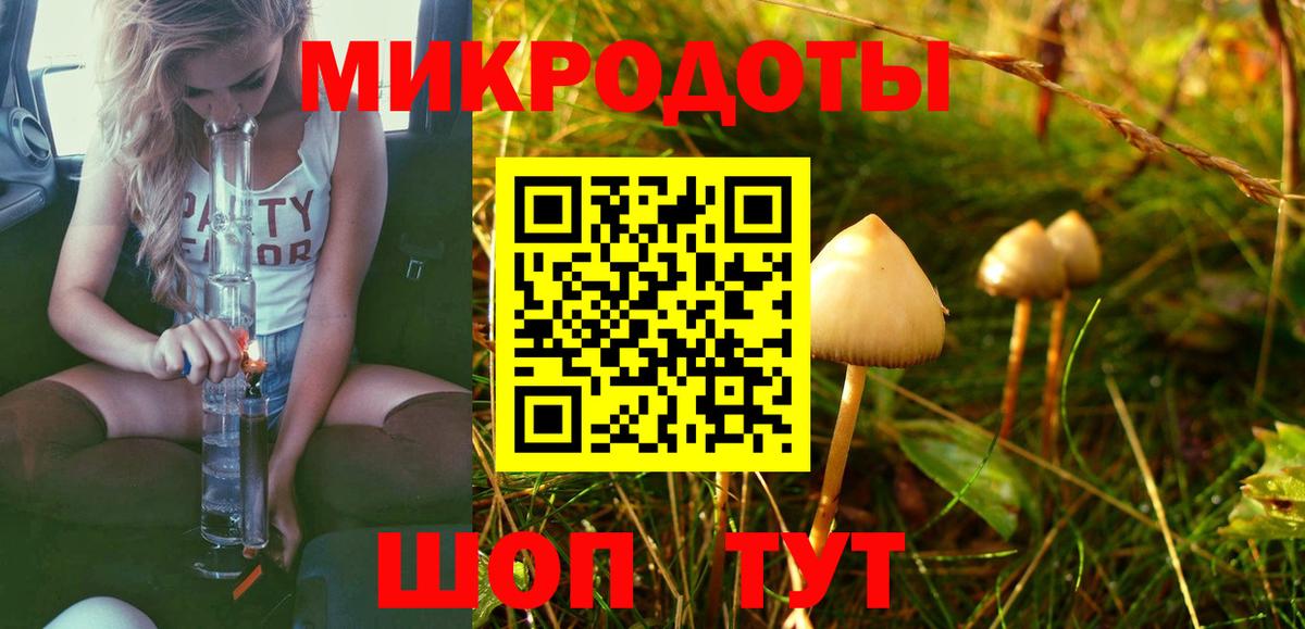 Губкин  Галлюциногенные грибы мицелий  Вход с VPN 