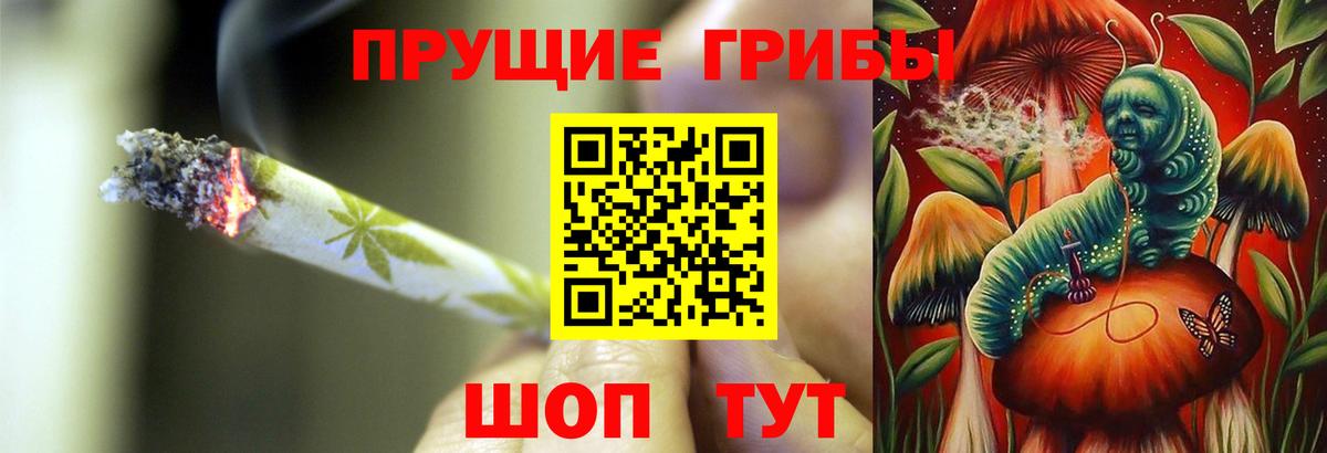 Галлюциногенные грибы Cubensis Губкин
